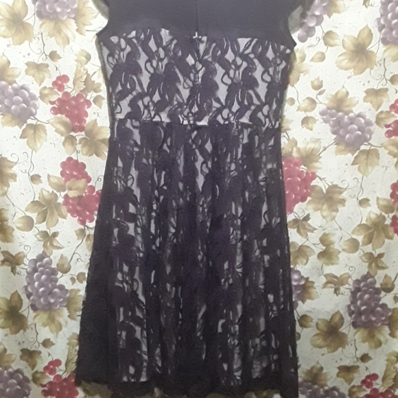 Lace Dress with Cream Slip - Picture 6 of 8